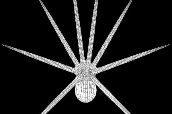 Kraken marketplace darknet