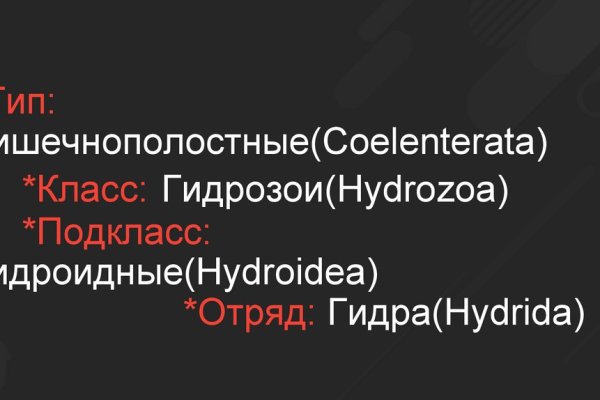 Как зайти на кракен в тор браузере