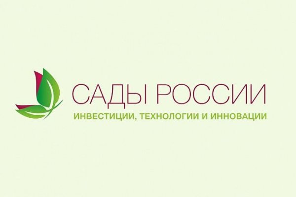 Как зайти на kraken в 2024