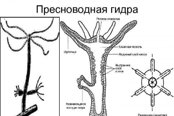 Кракен 17 точка ат